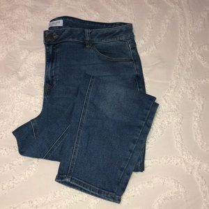 Lane Bryant Skinny Jeans